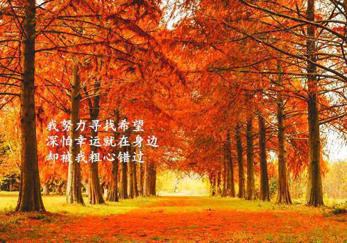 儿童睡前故事《小白兔和小灰兔》