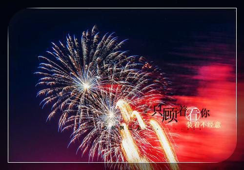 小鸟的儿童睡前故事精选