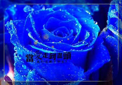 关于饮食的英文谚语有哪些