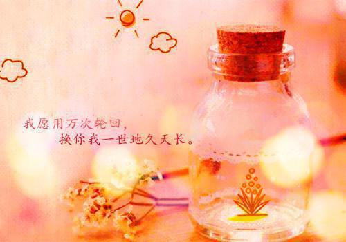 【推荐】《百万美元宝贝》影评