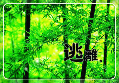 哲学家的名言