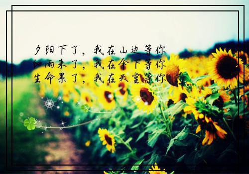最新周末祝福短信精选