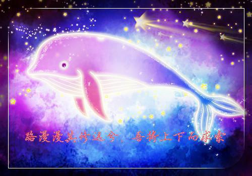 《小火鸡与狗妈妈》读后感范文5篇