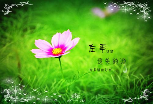爸爸和妈妈吵架了日记