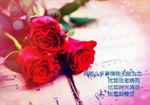 经典优美爱情散文精选
