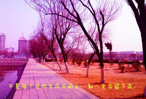 东野圭吾有哪些好看值得推荐的书