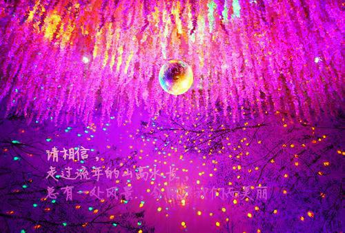 《百家讲坛》讲座于丹名人名言