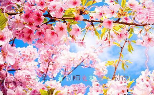 一路走来