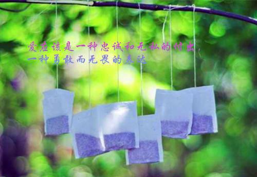关于学会原谅的诗歌散文