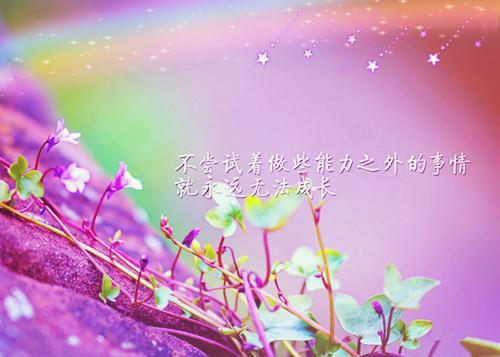 梅花励志诗句大全