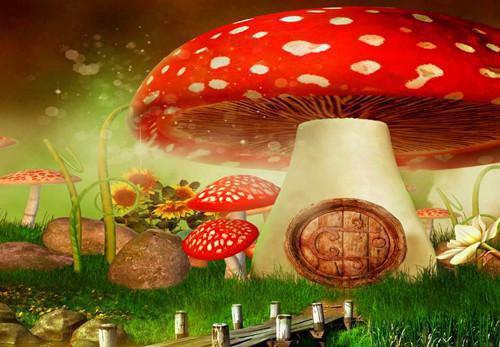 六年级学生评语15篇