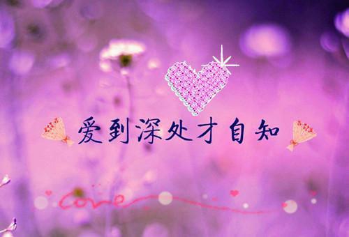 爱情故事大全里的感人故事