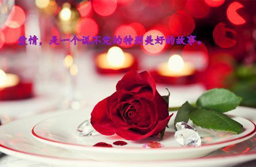 小雪时节谚语大全