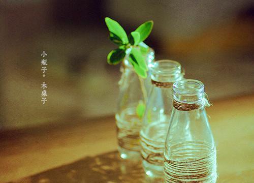 成功在于堅持作文300字【三篇】
