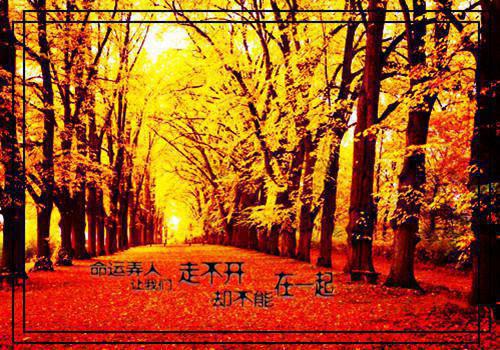 精選回憶童年的作文8篇