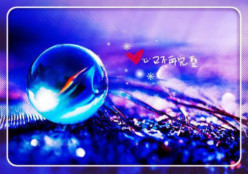 經典格林童話：狐貍太太的婚事