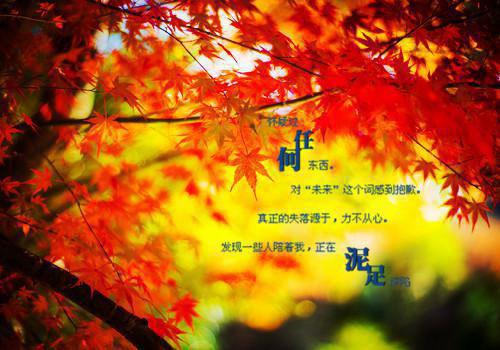 关于伤感爱情的散文诗精选
