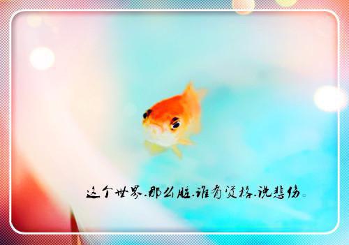爷爷今年六十六的经典绕口令