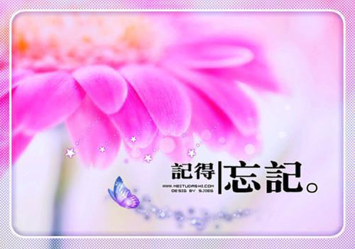 懂得人生感悟的励志文章