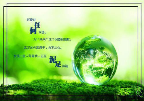 扫墓日记400字