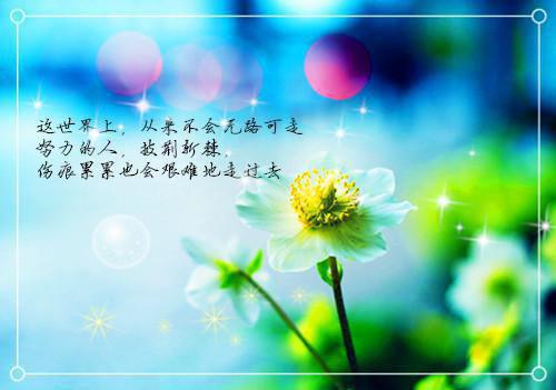 有关父爱的名言