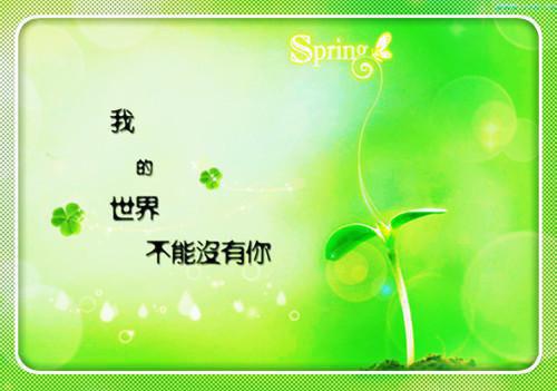 上班族正能量励志故事