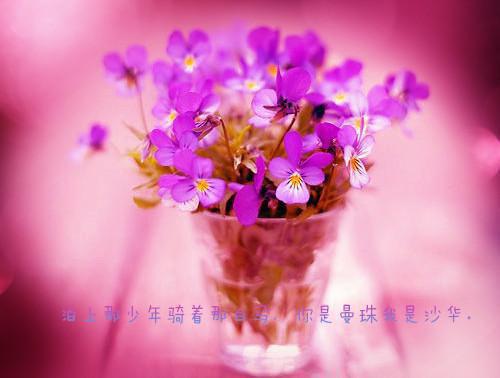 经典的化合价顺口溜