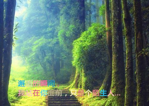 愛護樹木的樹木事童話故事:有病的木頭