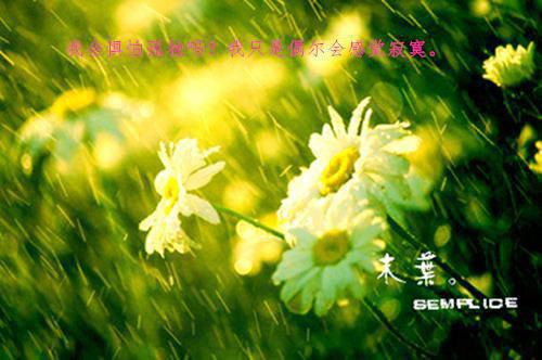 2020年精选心累句子汇编38条