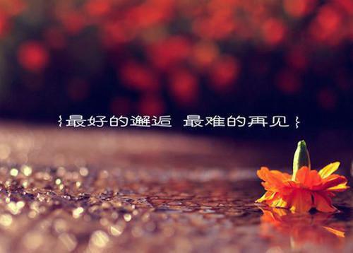 37岁儿童睡前故事憨憨的熊掌