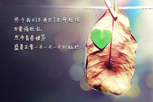 我心中的那片海美文日志
