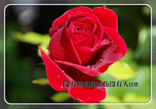 关于教师的励志名言警句