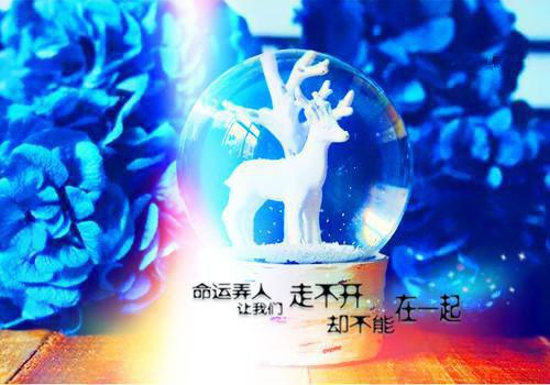 爱情名言签名