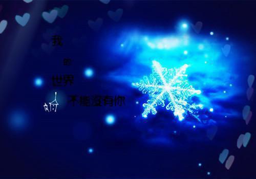 仓鼠的梦