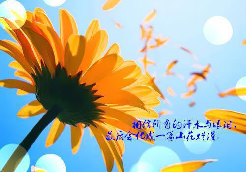 所谓伊人