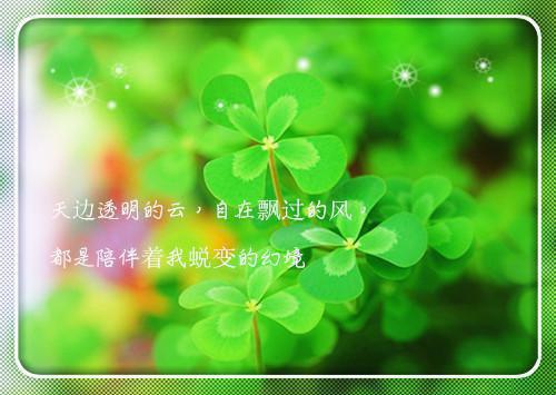 【精品】小学一年级日记4篇