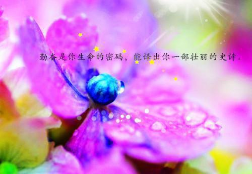 【精华】植物观察日记模板汇总9篇