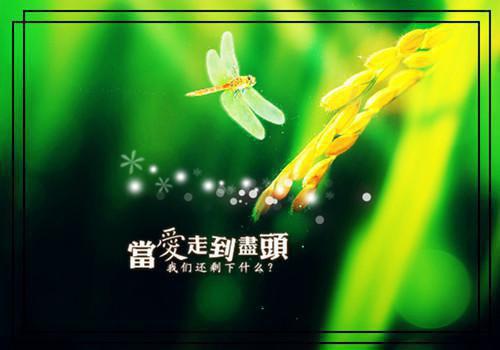 关于时间过太快的说说