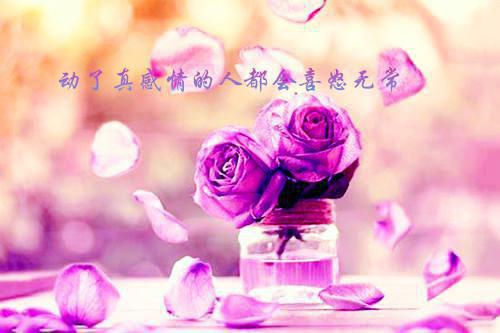 中华传统美德故事读后感（精选8篇）