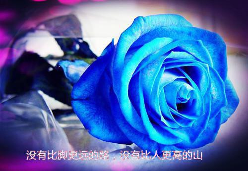 电影美人鱼观后感3篇