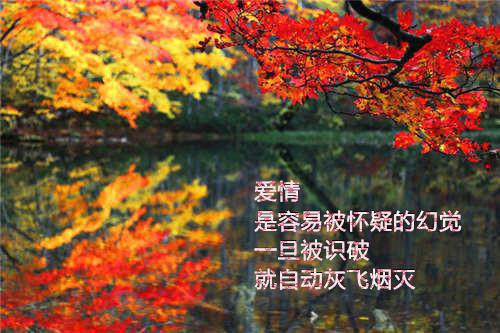 网络散文汇总