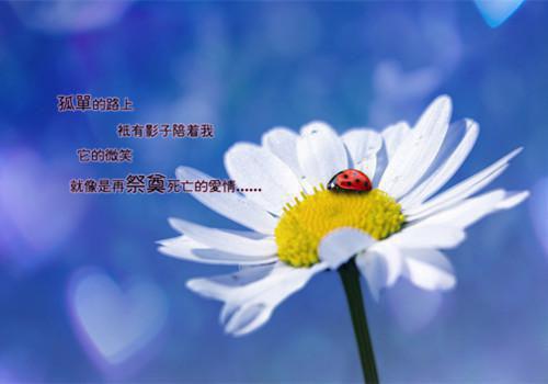 谈论婚姻的散文精选