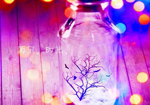 写景抒情的散文600字5篇