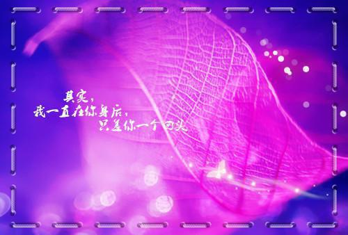 日记风波作文400字四篇