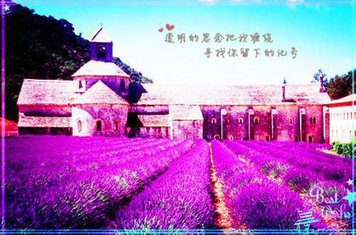 团队励志经典语录