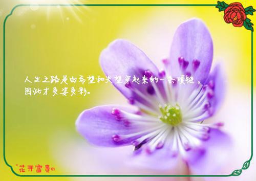 优秀大学生军训日记