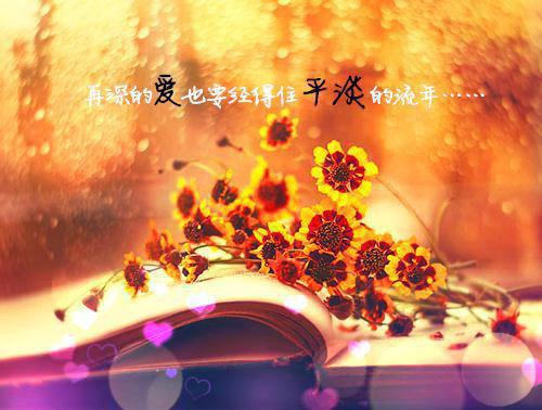 感悟人生句子【推荐】