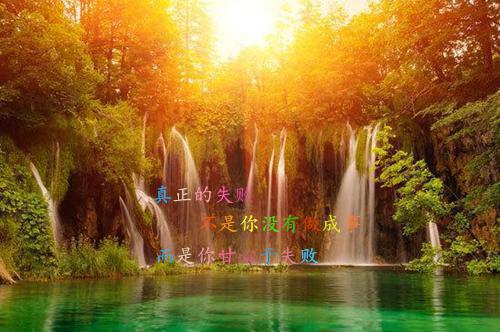 形容竹的励志诗句