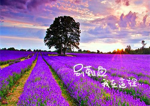毛泽东励志诗词名句