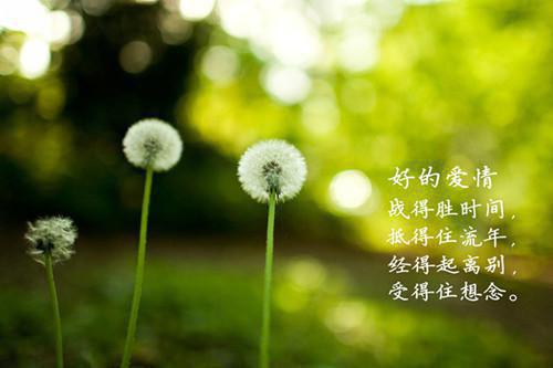 朱隆基名人名言大全